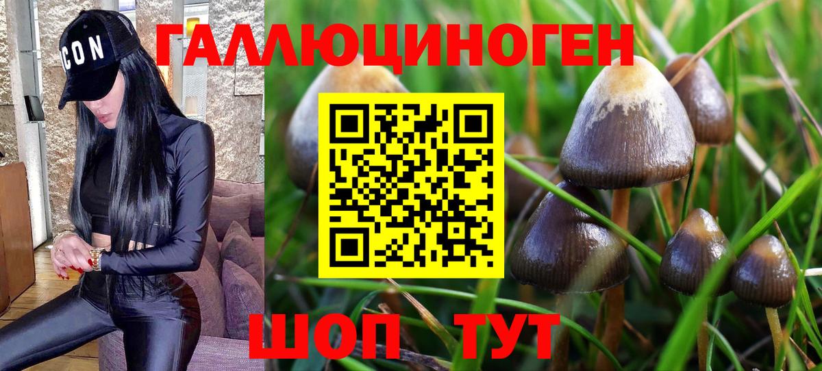 Псилоцибиновые грибы MAGIC MUSHROOMS Октябрьский